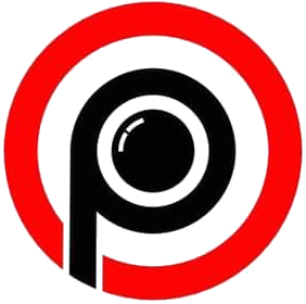 PRO VISION SECURITY Logo